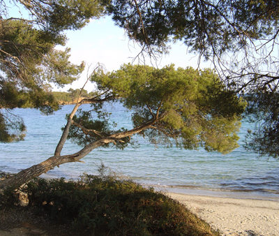 Plage de l'Estagnol - Camping de La Pascalinette®