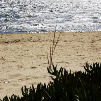 Plage de Tamaris - La Londe