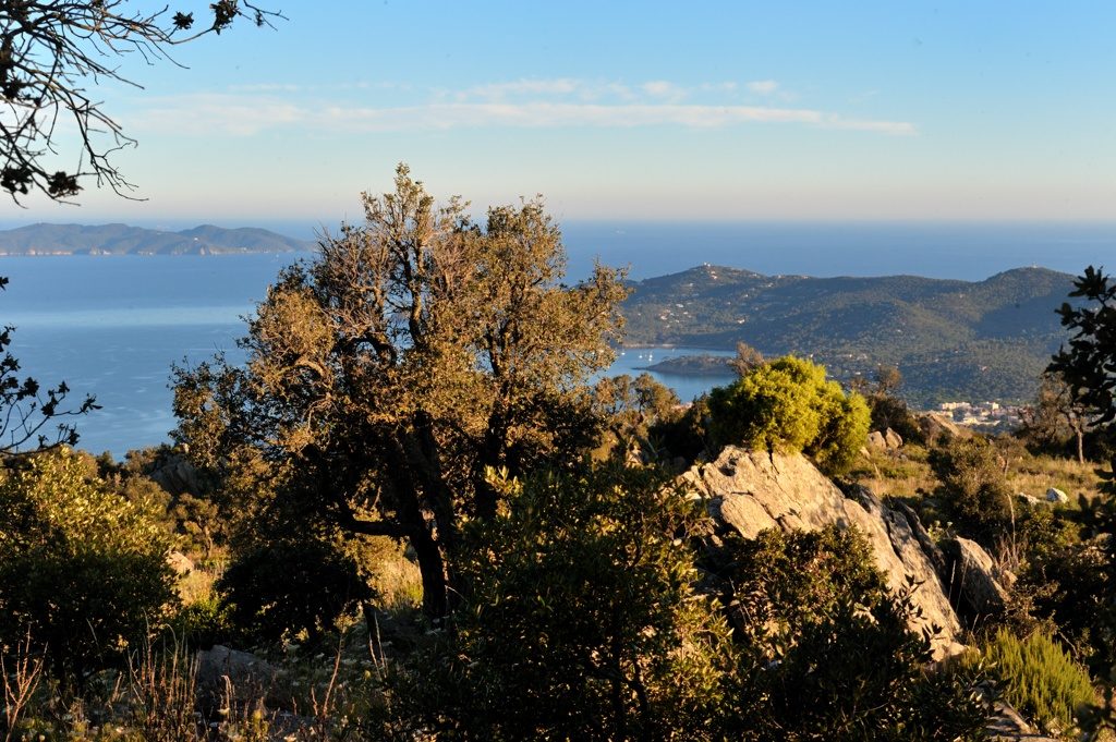 Insel ‘Le Levant’, die 3. Insel der Inseln von Hyères, die gegenüber von unserem Camping****- Les Jardins de La Pascalinette® in La Londe liegt.