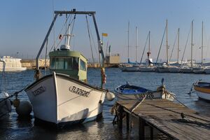 Camping proche du Port Pothuau pour des vacances en Méditerranée !