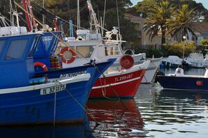 Camping proche du port d'Hyères