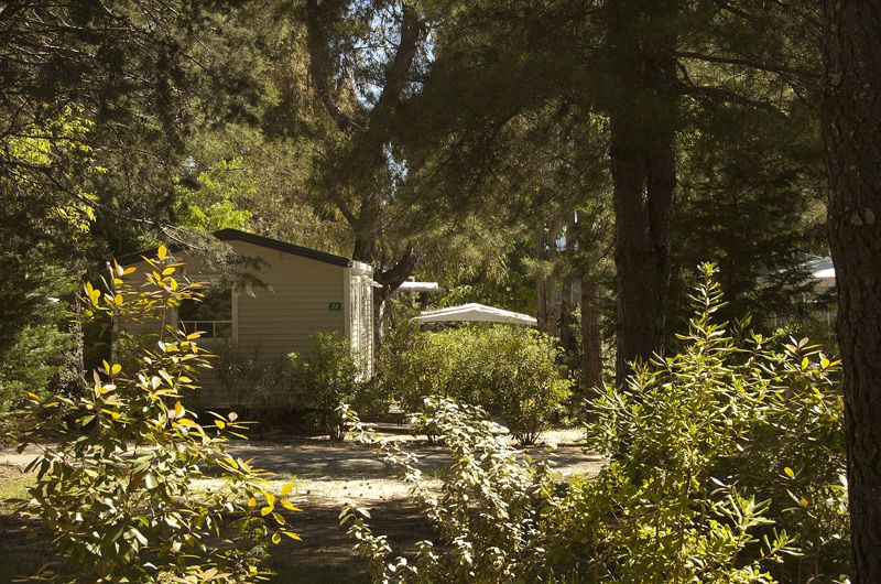 Camping Sud de la France Mobile-home Climatisation Location nature