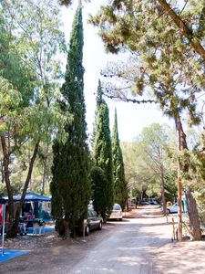 Les emplacements caravanes en camping écologique Var