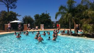 Animation Piscine Aquagym Soleil