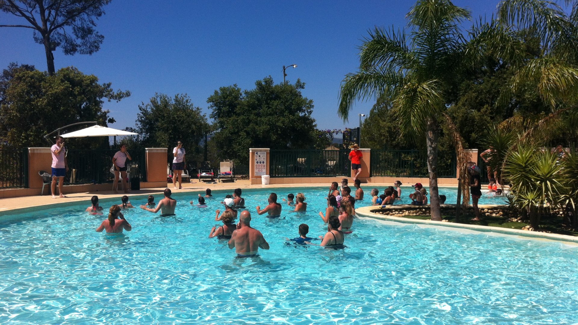 Camping Piscine Animation Vacances