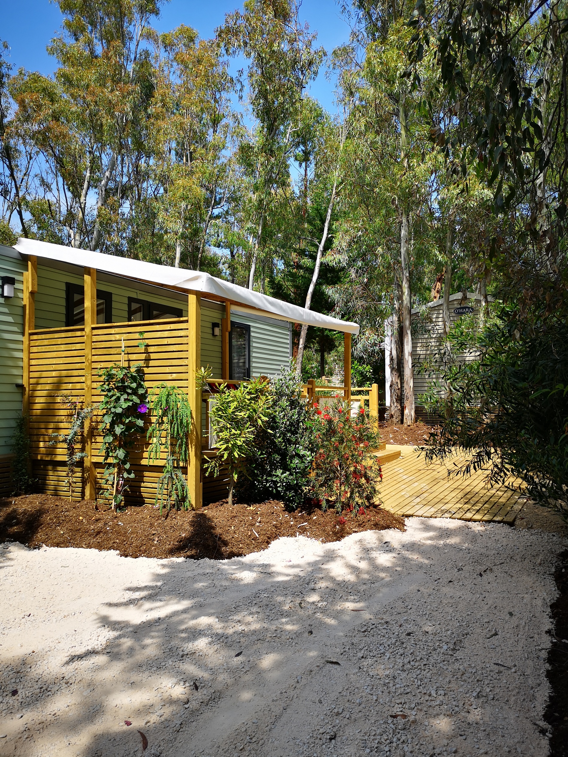 Mobile-home Patio avec terrasse intégrée