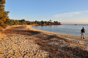 Camping proche de la plage de l'Etagnol