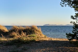 Camping proche de la plage des Salins (commune d'Hyères)