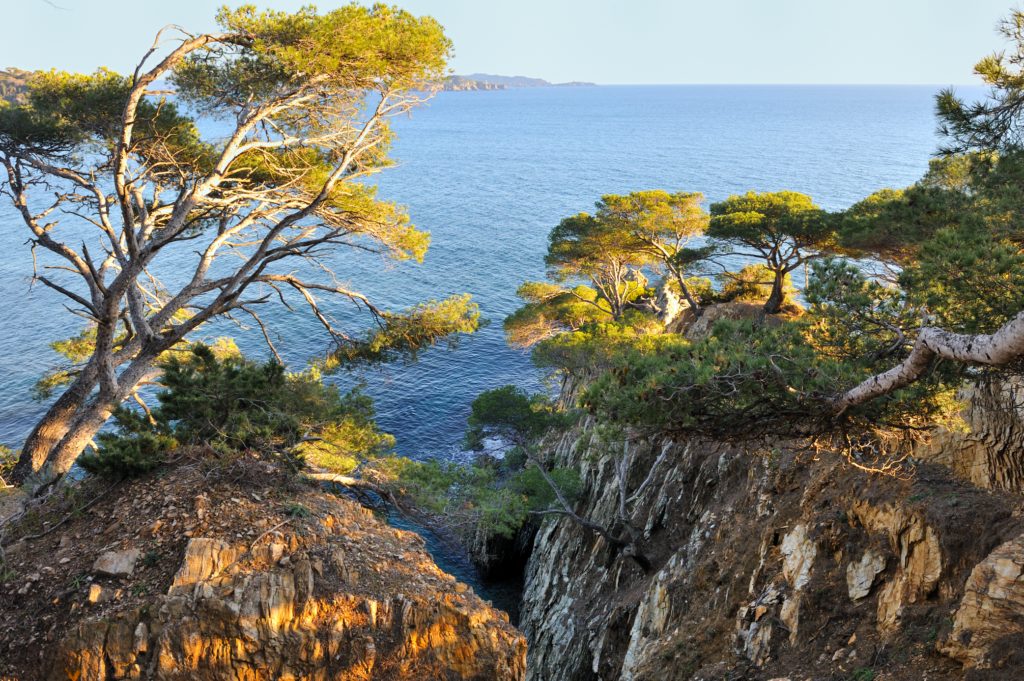 Camping près de Giens