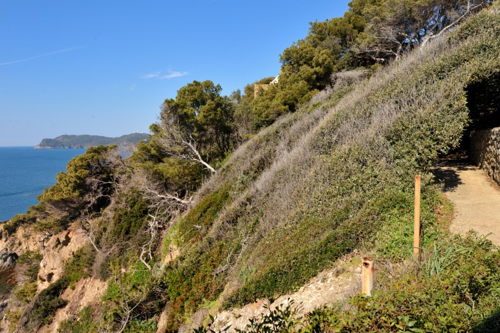 Camping proche de Giens