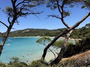 Camping Var à proximité de Porquerolles