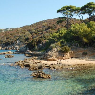 Camping Var proche de l'île du Levant - Hyères