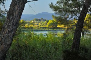 Les salins d'Hyères