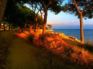 Plage des salins