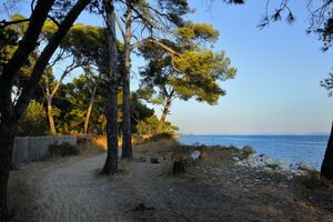 La plage des salins à Hyères, dans le Var