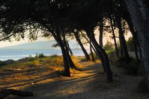 Plage des salins - Hyères, proche du camping