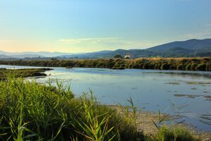 Réserve d'oiseaux aux salins