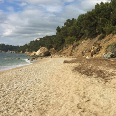 Plage du Monaco - le Pradet