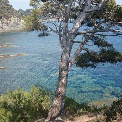 Randonnée sur la presqu'île de Giens