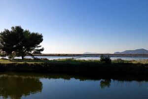 Plage des Salins, le matin...