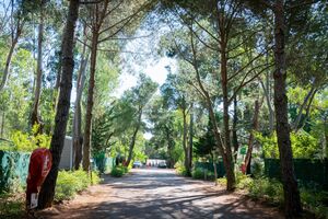 Camping nature slowlife sur la Côte d'Azur 