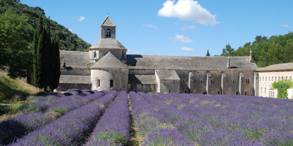 Visite de l'Abbaye Notre-Dame de Sénanque