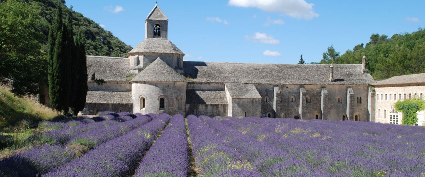 Vaucluse : Abbaye de Sénanque
