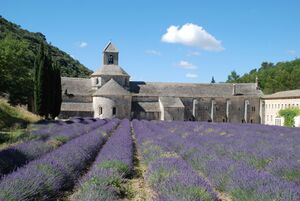 Vaucluse : Abbaye de Sénanque