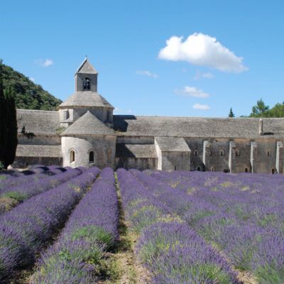 Tourisme à l'Abbaye de Sénanque - Les Jardins de La Pascalinette®, camping 4 étoiles