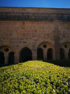 Abbaye du Thoronet - Var