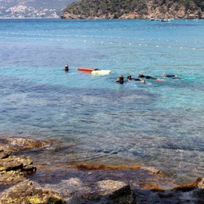 Sentier sous-marin du Rayol pendant vos vacances au camping