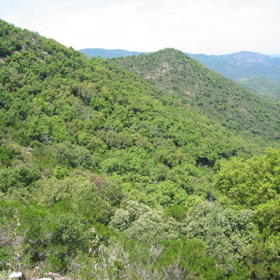 Le massif des Maures