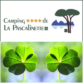 Le logotype du camping Var évolue !