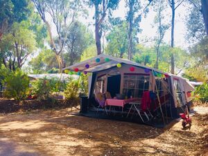 Emplacement caravane nature en camping écologique La Londe