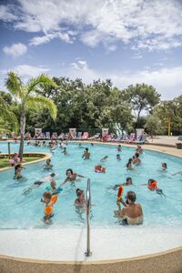 Bormes-les-Mimosas Piscine chauffée Bassins Solarium Jacuzzi