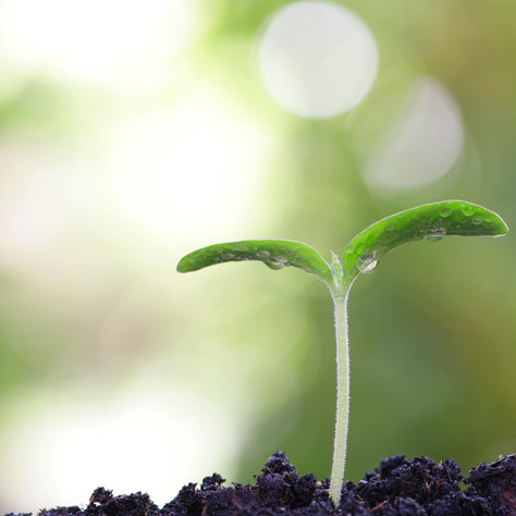 Nos Coins de Paradis EcoVert
