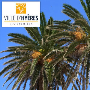 camping Hyeres Var