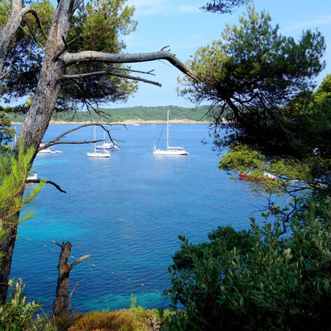 Les îles et les calanques