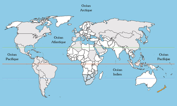 Pittospore de Nouvelle-Zélande