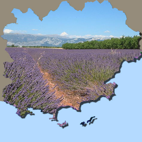 Balades dans le Var et en Provence