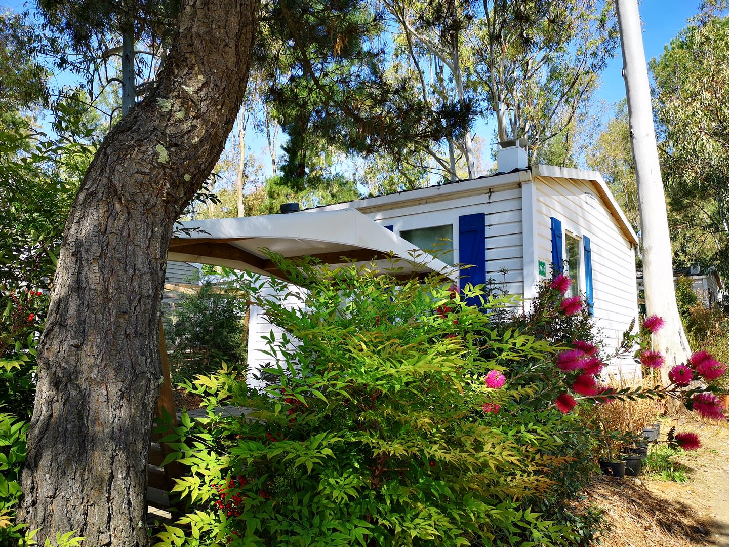 Camping Hyères - Location mobile-home - Vacances économiques mini-prix