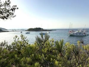 Vacances dans le Var en camping - Hyères