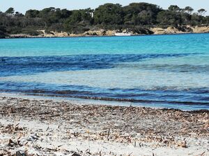 Porquerolles - du camping en bateau sur la côte d'Azur