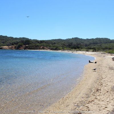 Plage du Langoustier - Porquerolles - Camping de La Pascalinette®