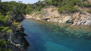camping Porquerolles - plage vacances