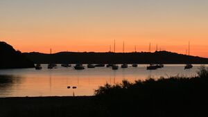 Vacances en camping découvrir Port-Cros