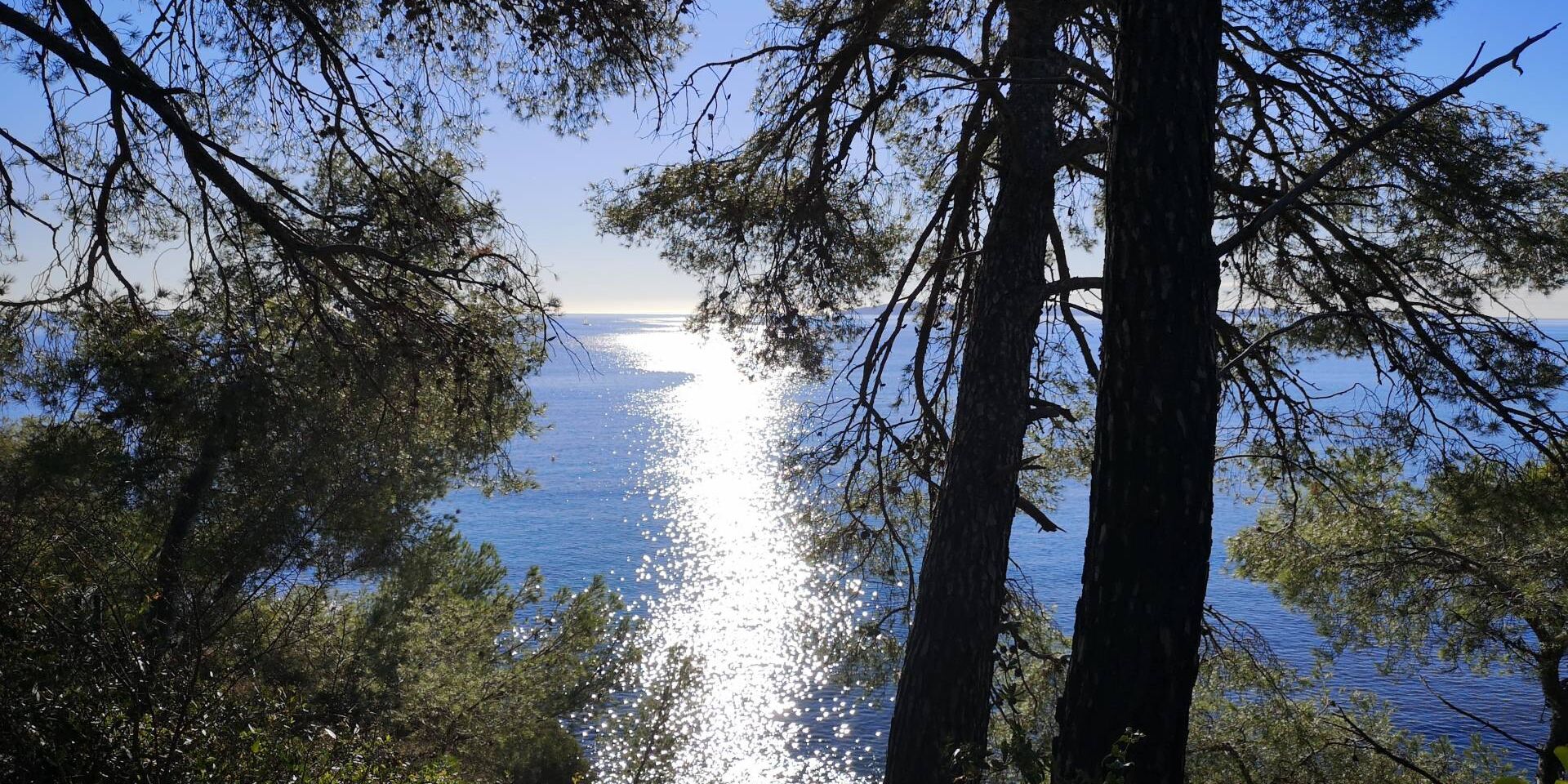 Camping près des plages Pellegrin La Londe Les Maures