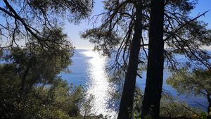 Camping près des plages Pellegrin La Londe Les Maures