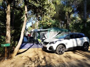 Emplacement Confort Caravane Camping La Londe