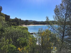 Camping près des plages du Var et du sentier du littoral